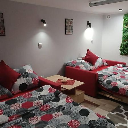 Studio Familly-Nocleg-Zator- Wadowice-Oswiecim-Krakow Bachowice 외부 사진