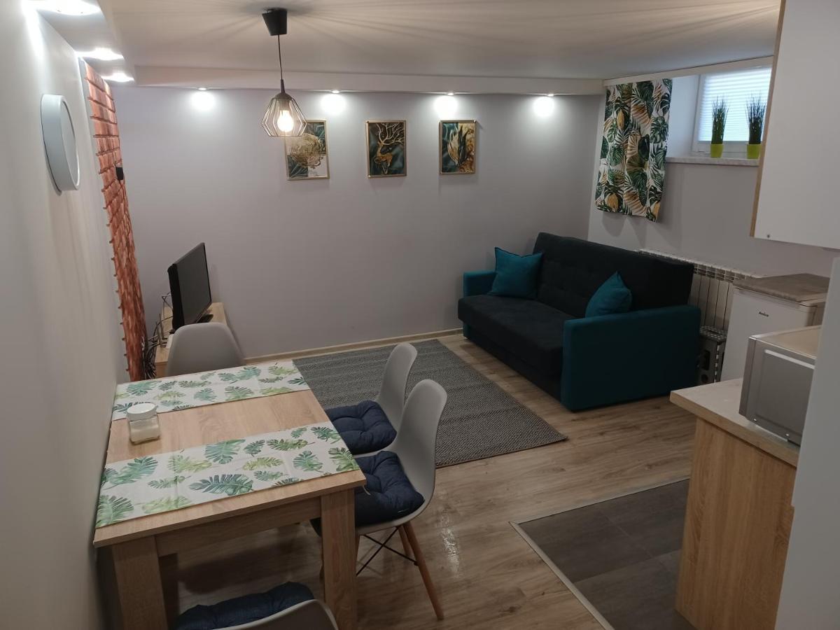 Studio Familly-Nocleg-Zator- Wadowice-Oswiecim-Krakow Bachowice 외부 사진