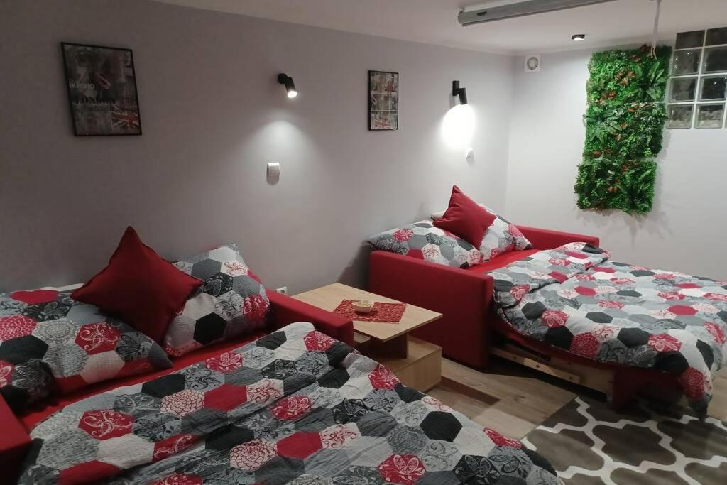 Studio Familly-Nocleg-Zator- Wadowice-Oswiecim-Krakow Bachowice 외부 사진